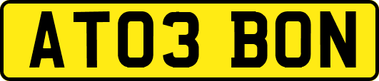 AT03BON