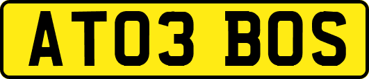 AT03BOS