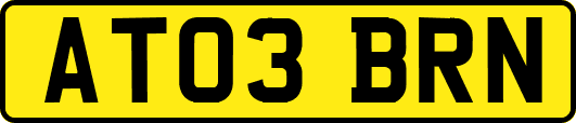AT03BRN