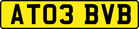 AT03BVB