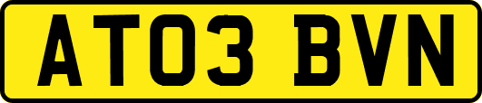 AT03BVN