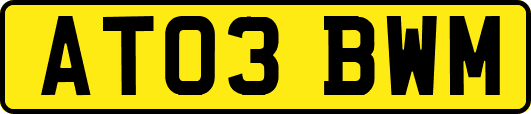 AT03BWM