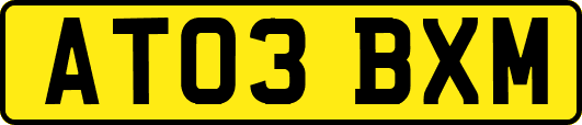 AT03BXM