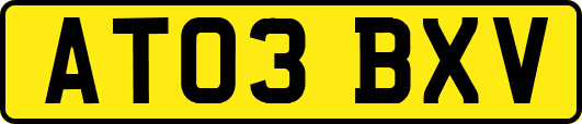 AT03BXV