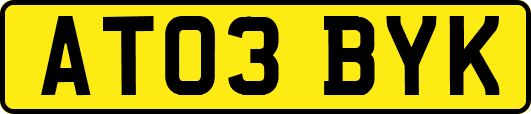 AT03BYK