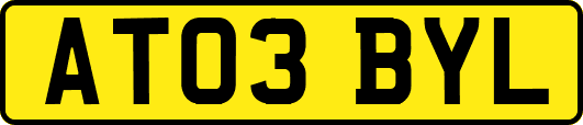 AT03BYL