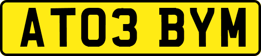 AT03BYM
