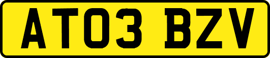 AT03BZV