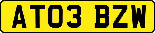 AT03BZW