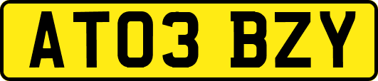 AT03BZY