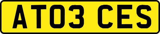 AT03CES