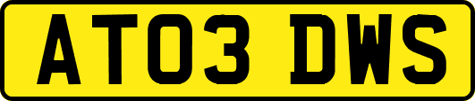 AT03DWS