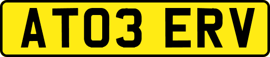 AT03ERV