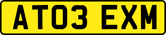 AT03EXM