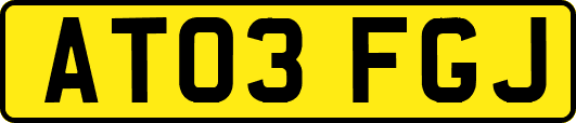 AT03FGJ