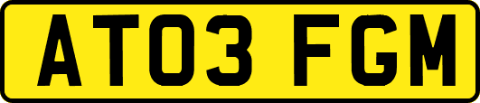 AT03FGM
