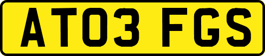 AT03FGS