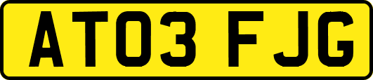 AT03FJG
