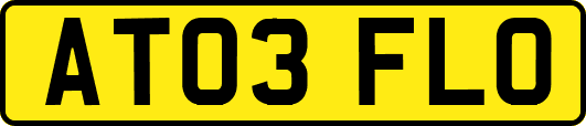AT03FLO