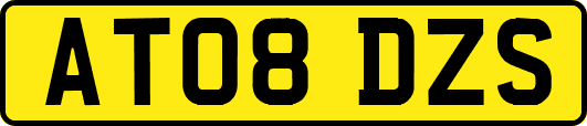 AT08DZS