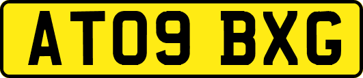 AT09BXG
