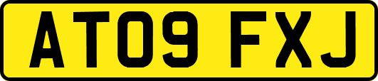 AT09FXJ
