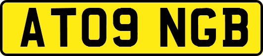 AT09NGB