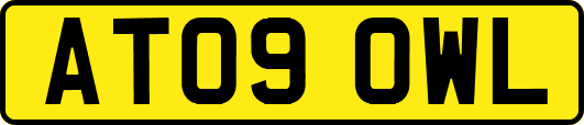 AT09OWL