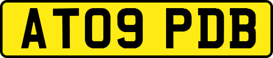AT09PDB