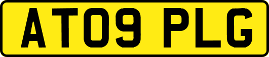 AT09PLG