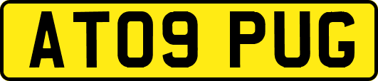 AT09PUG