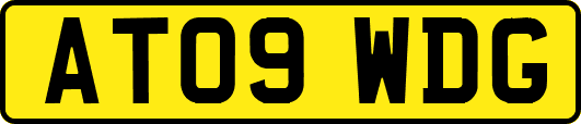 AT09WDG