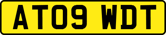 AT09WDT