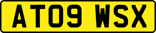 AT09WSX