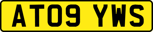 AT09YWS
