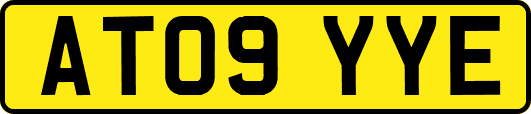 AT09YYE