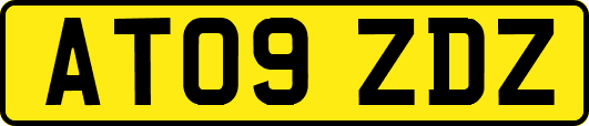 AT09ZDZ