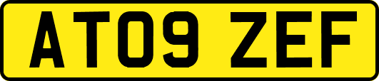 AT09ZEF