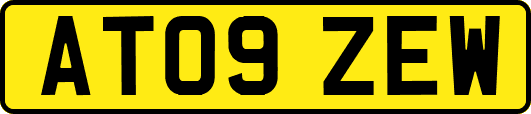 AT09ZEW