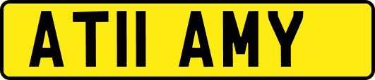 AT11AMY
