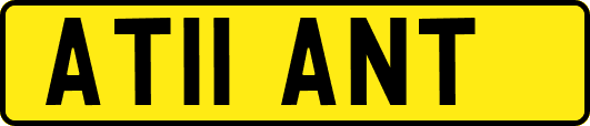 AT11ANT