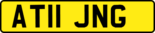 AT11JNG
