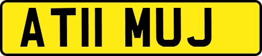 AT11MUJ