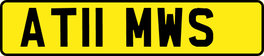 AT11MWS