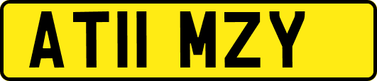 AT11MZY