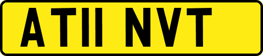 AT11NVT