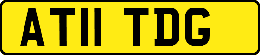 AT11TDG