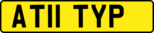 AT11TYP