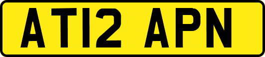 AT12APN