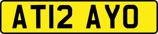 AT12AYO